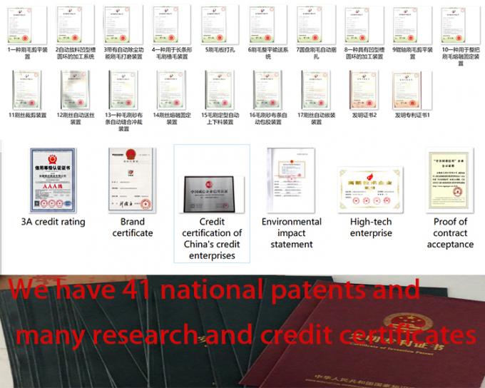 PP PAの道掃除人はDulevo 5000/6000にブラシをかけるか、またはカスタマイズすることができる 15