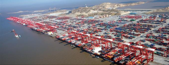 電気取り替え可能な道掃除人のブラシ サポートOEM 13